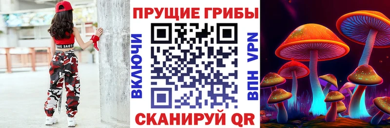Галлюциногенные грибы прущие грибы где купить Ленинск-Кузнецкий